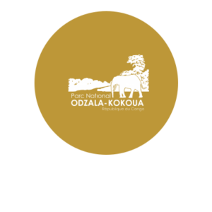 RangerUp clients - Odzala-Kokoua - National Park, Congo